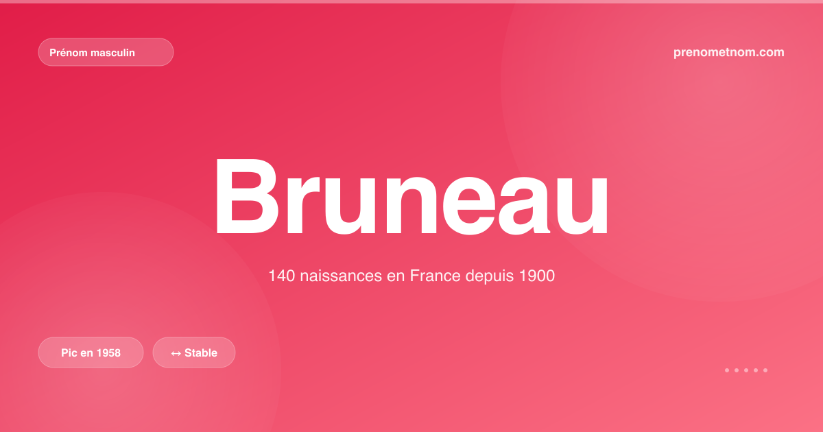 Carte visuelle du prénom Bruneau