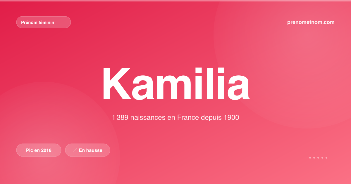 Carte visuelle du prénom Kamilia