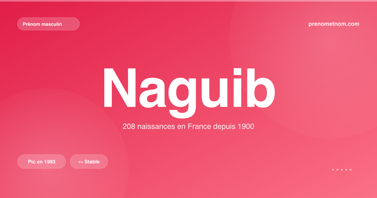 Carte visuelle du prénom Naguib