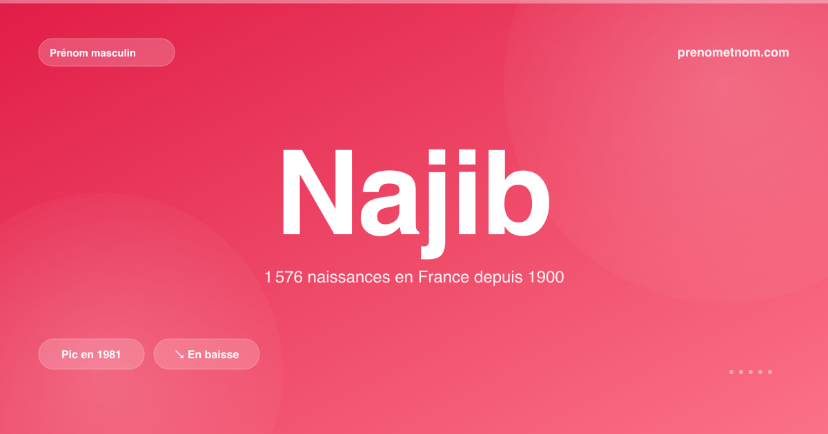 Carte visuelle du prénom Najib