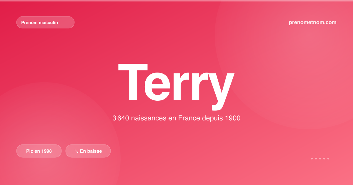Carte visuelle du prénom Terry