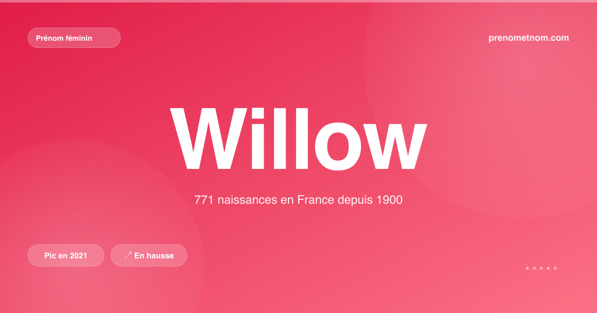 Carte visuelle du prénom Willow