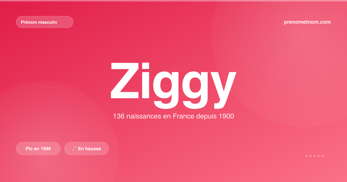 Carte visuelle du prénom Ziggy